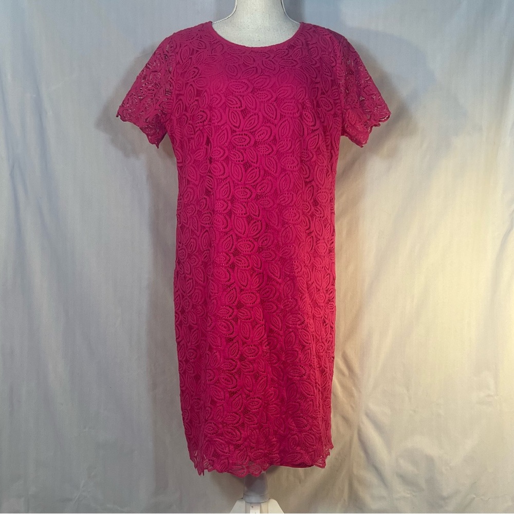 Ann Taylor Dress Rose Pink Lace Overlay Cotton Blend Illusion Short Sleeves 16👍